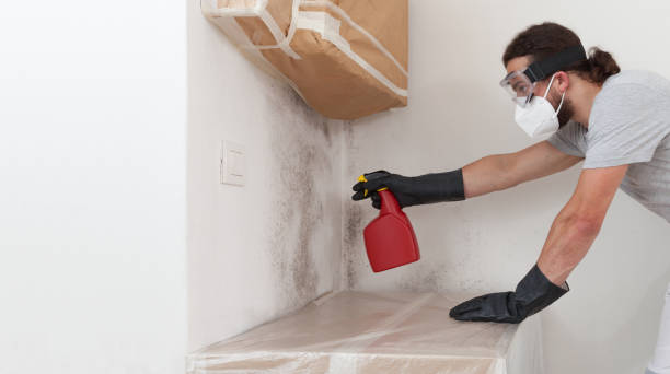 Professional Mold Inspection And Testing technician working in Rhodelia, KY