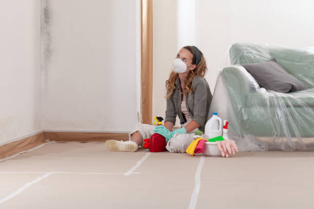 Reliable Mold Inspection And Testing contractor in Rhodelia, KY by Mold Remediation HQ