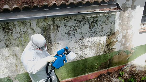 Top rated local Mold Inspection And Testing specialists in Rhodelia, KY